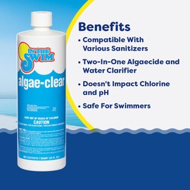 In The Swim Algae-Clear for Above Ground or Inground Swimming Pools - Powerful, Non-Foaming Algaecide and Water Clarifier - Removes Green, Yellow/Mustard, and Black Algae - 1 Quart