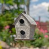 Hanging Painted Galvanized Metal Birdhouse (Bungalow Home)