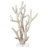 Deco 79 Polystone Coral Decorative Sculpture Home Decor Statue with
