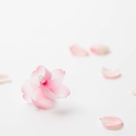 Ash Concept (h concept) Design Accessories, Pink, W3 x D2.4 x H3, Kaze Guruma, Cherry Blossom, DA-1180-S1, 3 Pieces