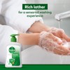 Dettol Liquid Handwash (Original) - 200 ml with Free Dettol