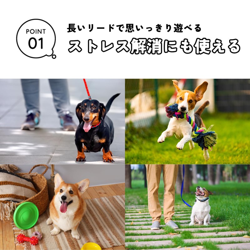 DIZLAS Long Leash 30m 360 Degree Rotation Dog Leash for