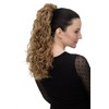 WIG ME UP NC002-15 Hairpiece Ponytail with 2 combs/clips &