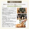 [Veterinarian Development Supervision] Nyan Rock Cat Dedicated Nail Clippers Hammock