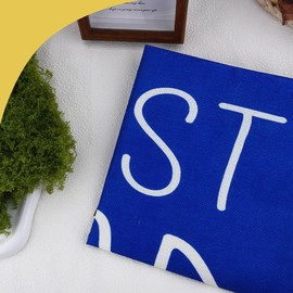 Best Dad Throw Pillow Cover for Father Birthday Fathers Day Gift Papa Blue White Decor Cushion Covers Pillow Case 18x18Inch for Daddy Christmas Pillowcase for Bedroom Living Room Decoration