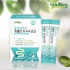 Proline Breast Milk Lactobacillus Synprobiotic Effective Lactobacillus / 프롤린 모유