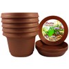 Austin Planter Pots with Saucers, 7 inch Copper Color, Case