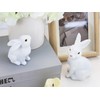 XIANNVXI Rabbit Easter Decoration White Polyresin Decorative Rabbit Easter Bunny