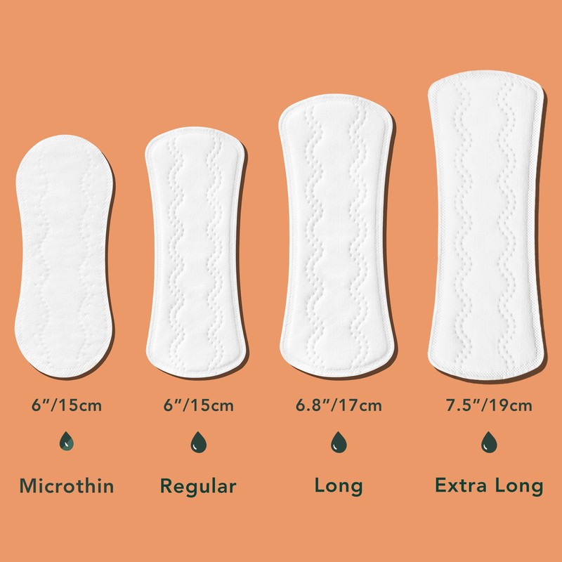 Rael Panty Liners for Women, Organic Cotton Cover - Regular