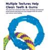 Petstages Orka Dental Links Dog Chew Toy