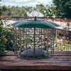 Backyard Essentials Squirrel Defeater Seed or Suet Log Cage Feeder