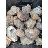 Condor agate rough small nodules 4 pounds