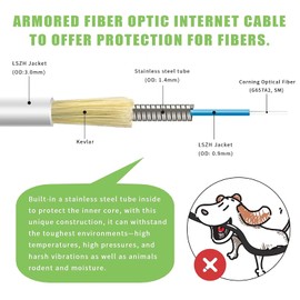 Bangun 30 Meters SC/APC to SC/APC Fiber Optic Internet Cable, Armored Single Mode Patch Cable, Fiber Optic Jumper Optical Patch Cord - SIMPLEX - 9/125um - OS1/OS2 Compatible, LSZH White