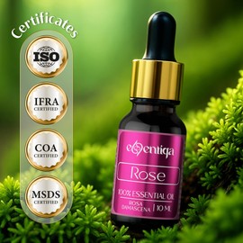Rose oil – for perfumery & cosmetics – 100% pure essential oil & fragrance oil, premium, highly concentrated – for candles, soaps & aroma diffusers – floral, delicate, oriental – from Bulgaria – 10 ml
