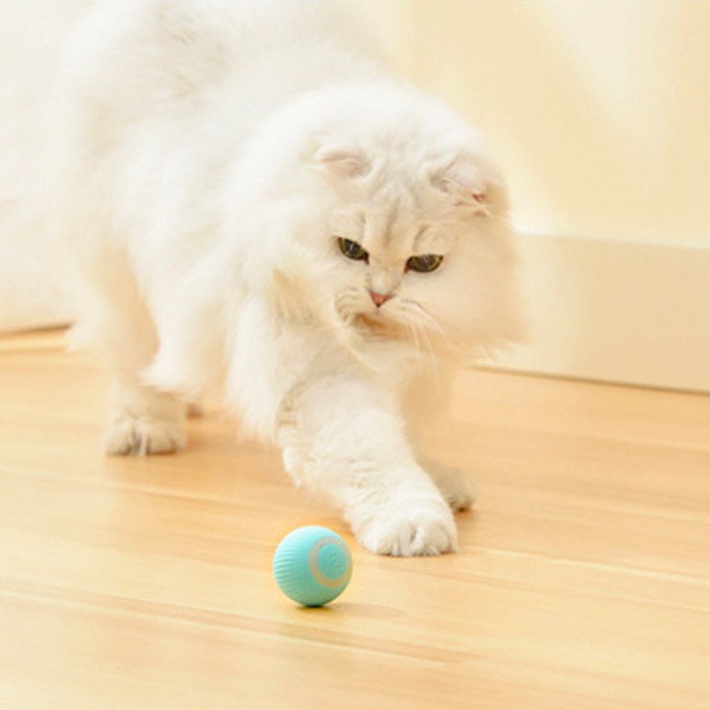 Smart Rotating Ball Built in Sound Device Interactive Automatic Moving