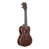 Kala Brand Music Co., 4-String Ukulele, Natural, Concert (KA-EBY-C)