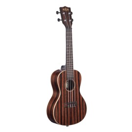 Kala Brand Music Co., 4-String Ukulele, Natural, Concert (KA-EBY-C)