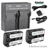 Kastar Dual Smart Fast Charger & 2 x Battery for