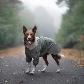 HOWLIDAYS CO. Midnight Forest Dog Jacket - Water-Resistant & Adjustable | Large Dog Raincoat with Packable Hood