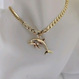 Cadena y Pendiente Delfin Unisex Gold Plated Necklace with Dolphin Charm for Men and Women:_size 20