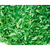 Ocha no Maruko Gabaron Green Tea Bag 0.07 oz (2
