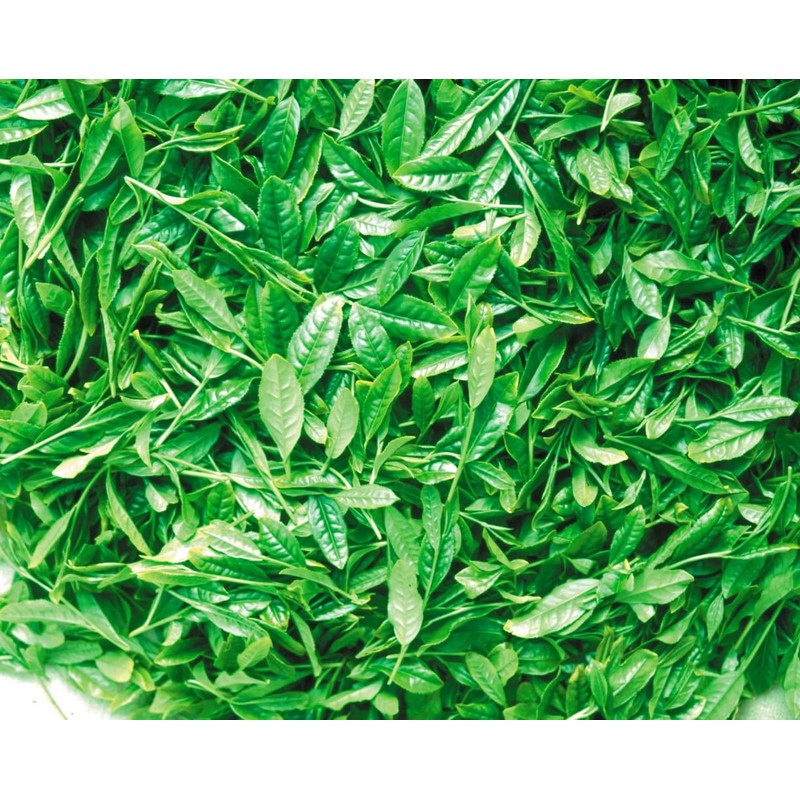 Ocha no Maruko Gabaron Green Tea Bag 0.07 oz (2