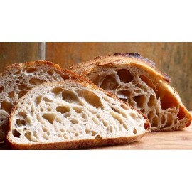 Unbranded THE BEAST sourdough starter 10 sourdough yeasts in 1 starter @fresh d