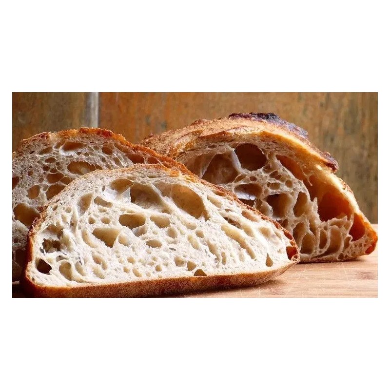 Unbranded THE BEAST sourdough starter 10 sourdough yeasts in 1