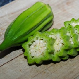 Fresh 40 STAR OF DAVID OKRA SEEDS Non-GMO Heirloom | USA Seller Free Shipping