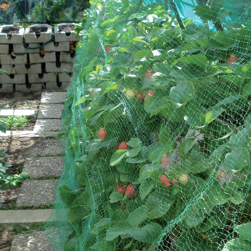 Tenax 55032348 Ortoflex Square Woven Bird Net – Green