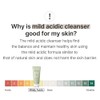 mixsoon] Master Gentle Recipe Foam Cleanser 5.07 fl oz 150ml