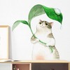 Wall Sticker Animal Cute Cat Plant House Plant Flower Butterfly