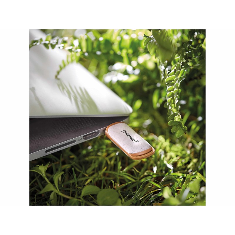 Intenso USB Stick USB 3.2 Gen 1x1 Green Line 128GB