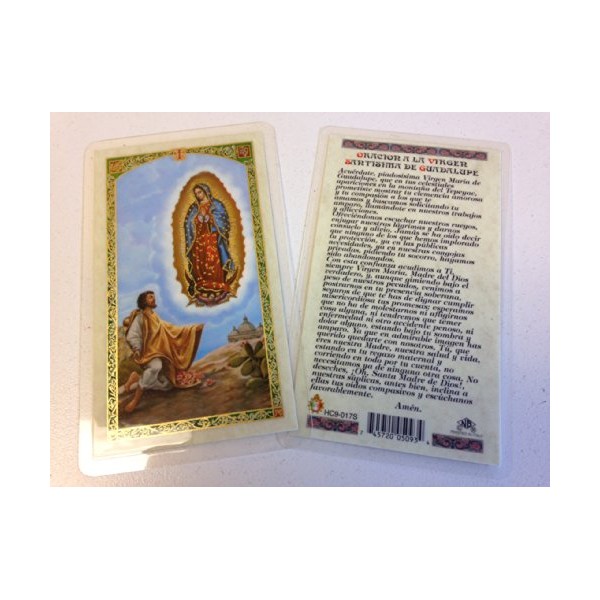 Holy Prayer Cards for Our Lady of Guadalupe with San Juan Diego in Spanish Set of 2