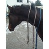 Cotton Neck Ring Horse Riding Brown / Natural Size Full