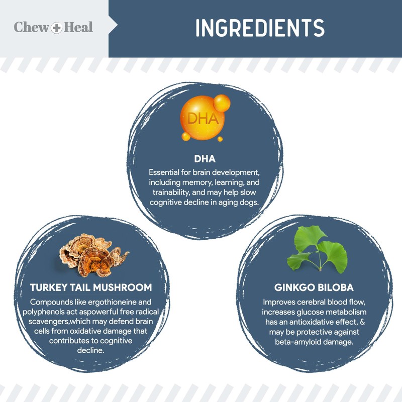 Chew + Heal Labs Senior Dog Vision and Cognition Chews