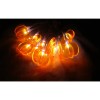 Greenbrier Seasonal Pumpkin LED String Lights 12 White LEDs Indoor