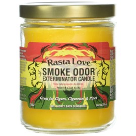 Smoke Odor Exterminator 13oz Jar Candle, Rasta Love (1)