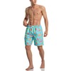 TSLA Men's Swim Trunks, Quick Dry Beach Swimming Board Shorts,