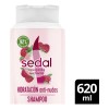 Sedal Recarga Natural Hidratación Anti-Nudos 620mL shampoo para cabello maltratado