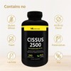 마이라이프 시서스 가루 알약 2500mg 240베지캡슐 씨서스 My Life Cissus