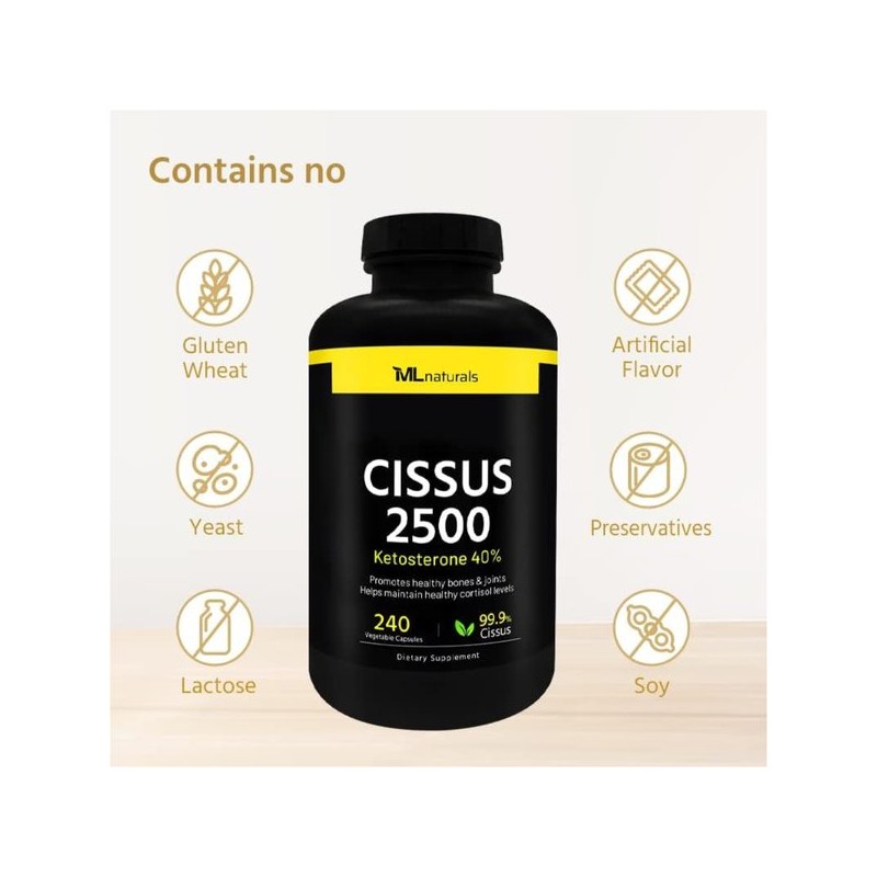 마이라이프 시서스 가루 알약 2500mg 240베지캡슐 씨서스 My Life Cissus