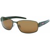 Coleman CO3054-2 Sunglasses, brown/brown