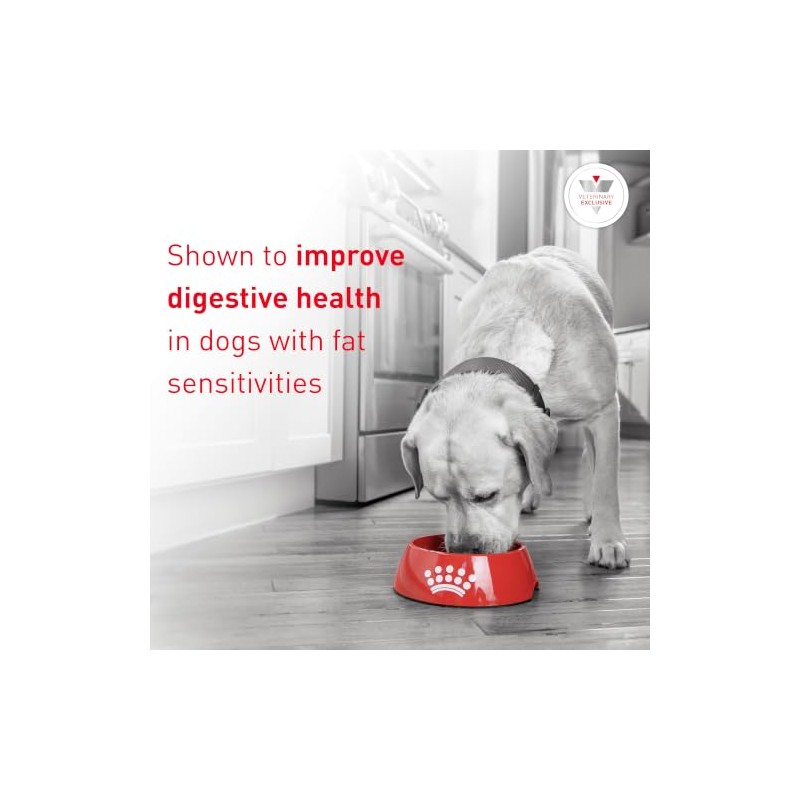 Royal Canin Gastro-Intestinal Low Fat (El empaque puede variar)