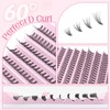 Parriparri Cluster Lashes 200 Pcs Individual Lashes 20D D Curl