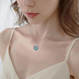 YAFEINI Luna Moth Necklace Sterling Silver Luna Moth Pendant Necklace Witch Fairycore Abalone Shell Luna Moth Bug Jewelry for Women