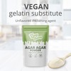 Easy Yummy Agar Agar Powder (100 g), Vegan Gelatin Powder,