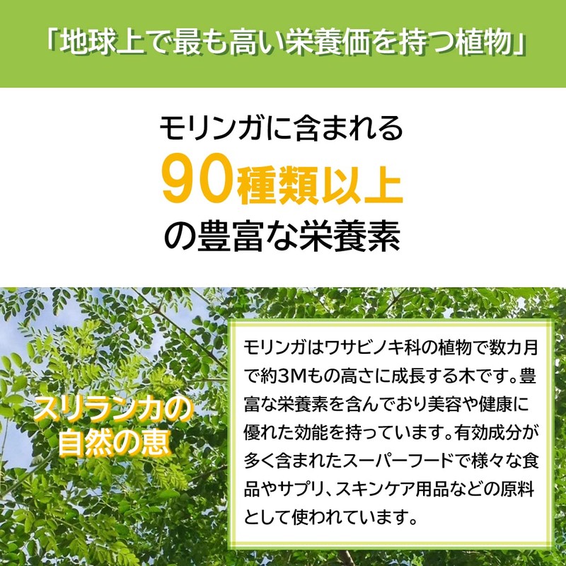 モリンガパウダー オーガニック スーパーフード モリンガ粉末 モリンガ 有機 JAS認定 スリランカ セイロン 無添加