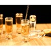 DUJUST Crystal Shot Glasses (2oz), Shot Glass Set Decorated with