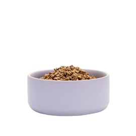 Waggo Edge Dog Bowl for Small Medium and Large Breeds - Clean Modern Matte Finish, Heavyweight and Durable Pet Food and Water Dish Crock, Dishwasher Safe (Lavender, 9 Cups)